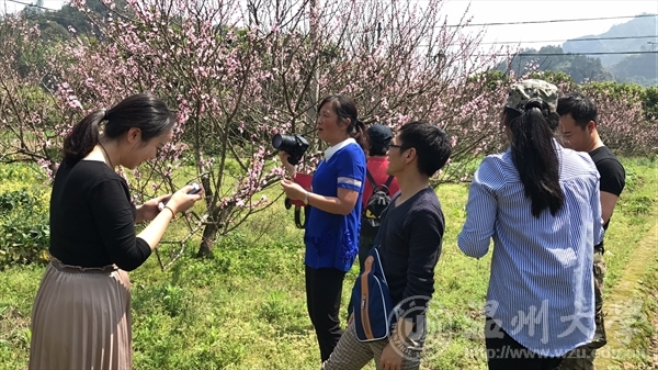 博彩平台推荐