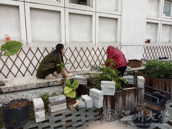 博彩平台推荐