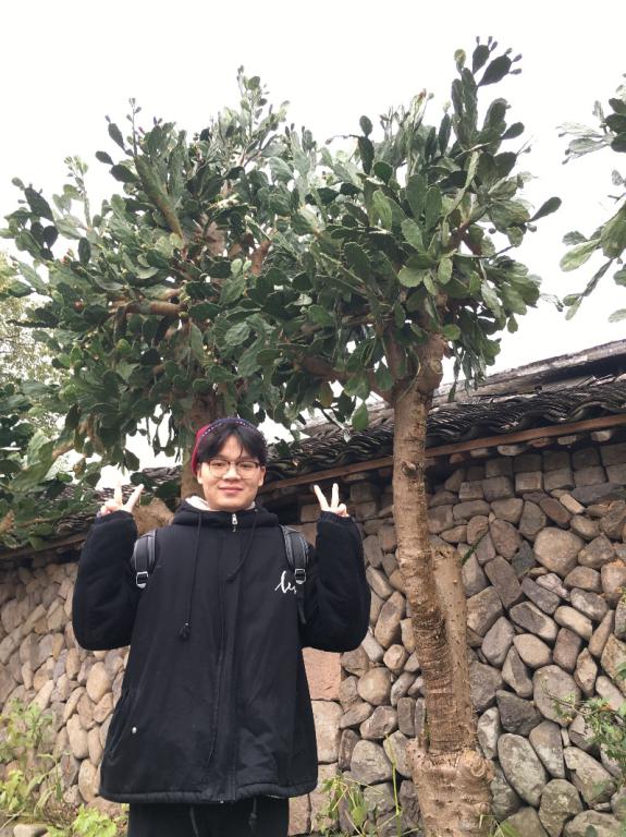 博彩平台推荐