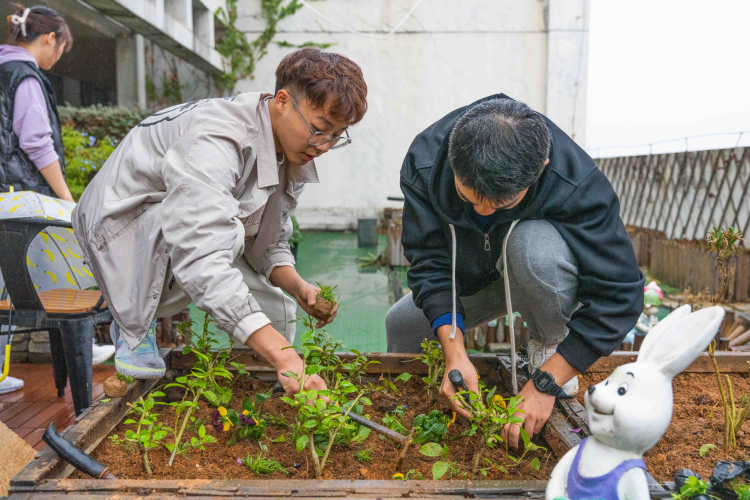 博彩平台推荐