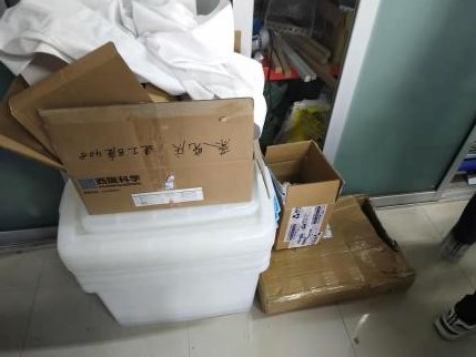 博彩平台推荐