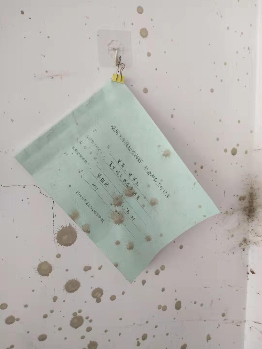 博彩平台推荐